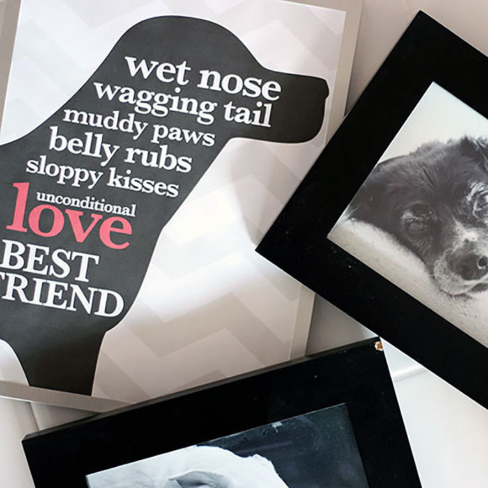 Free Printable Dog Wall Art for Your Pet Accent Wall Sunny Day Family