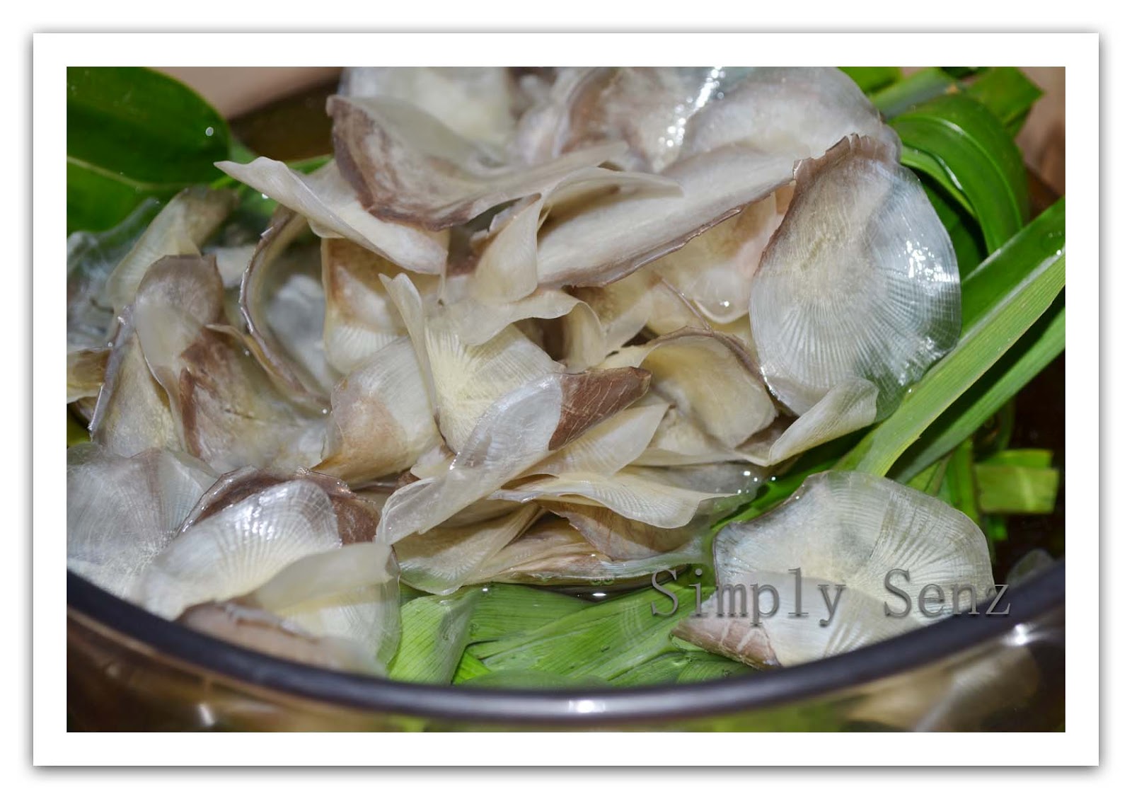 Simply Senz Fish Scales Jelly for osteoarthritis and beauty care