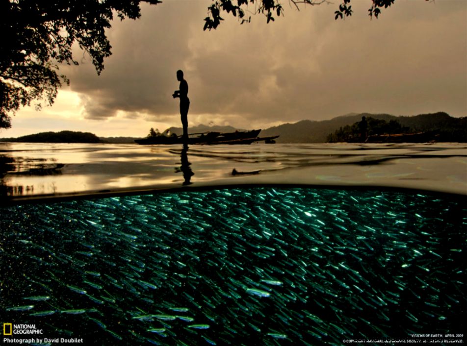 National Geographic Magazine Wallpaper Download Free VectorPSD