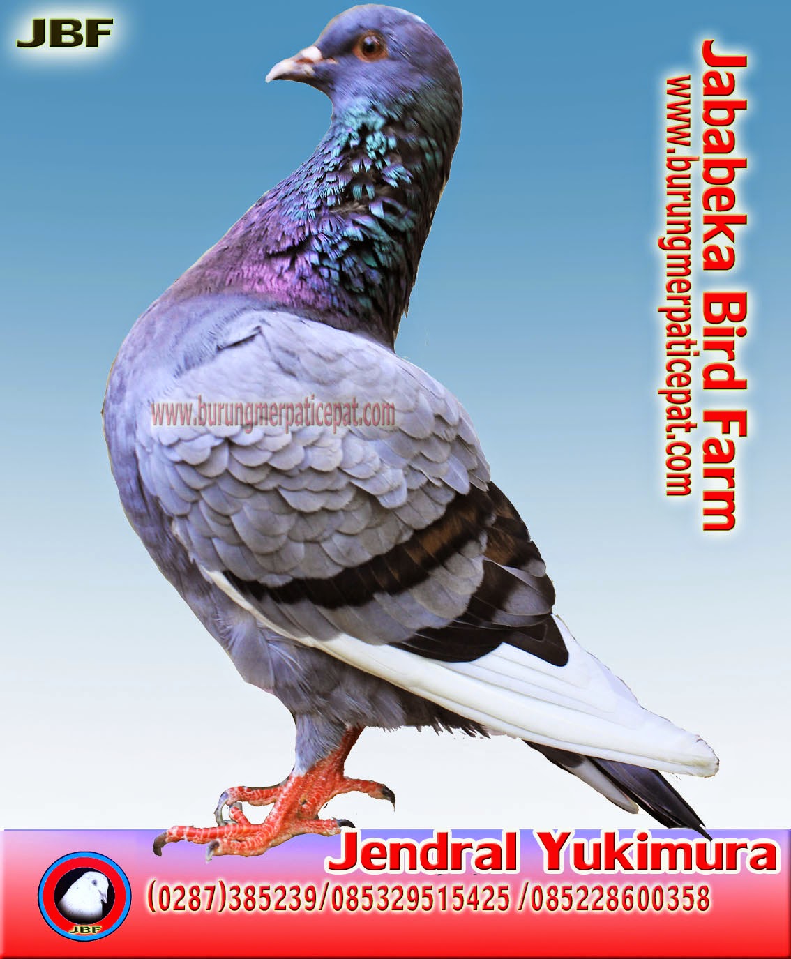 (0287) 382807 / 085228600358 / 085329515425 Cara