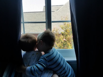 two toddler brothers hugging