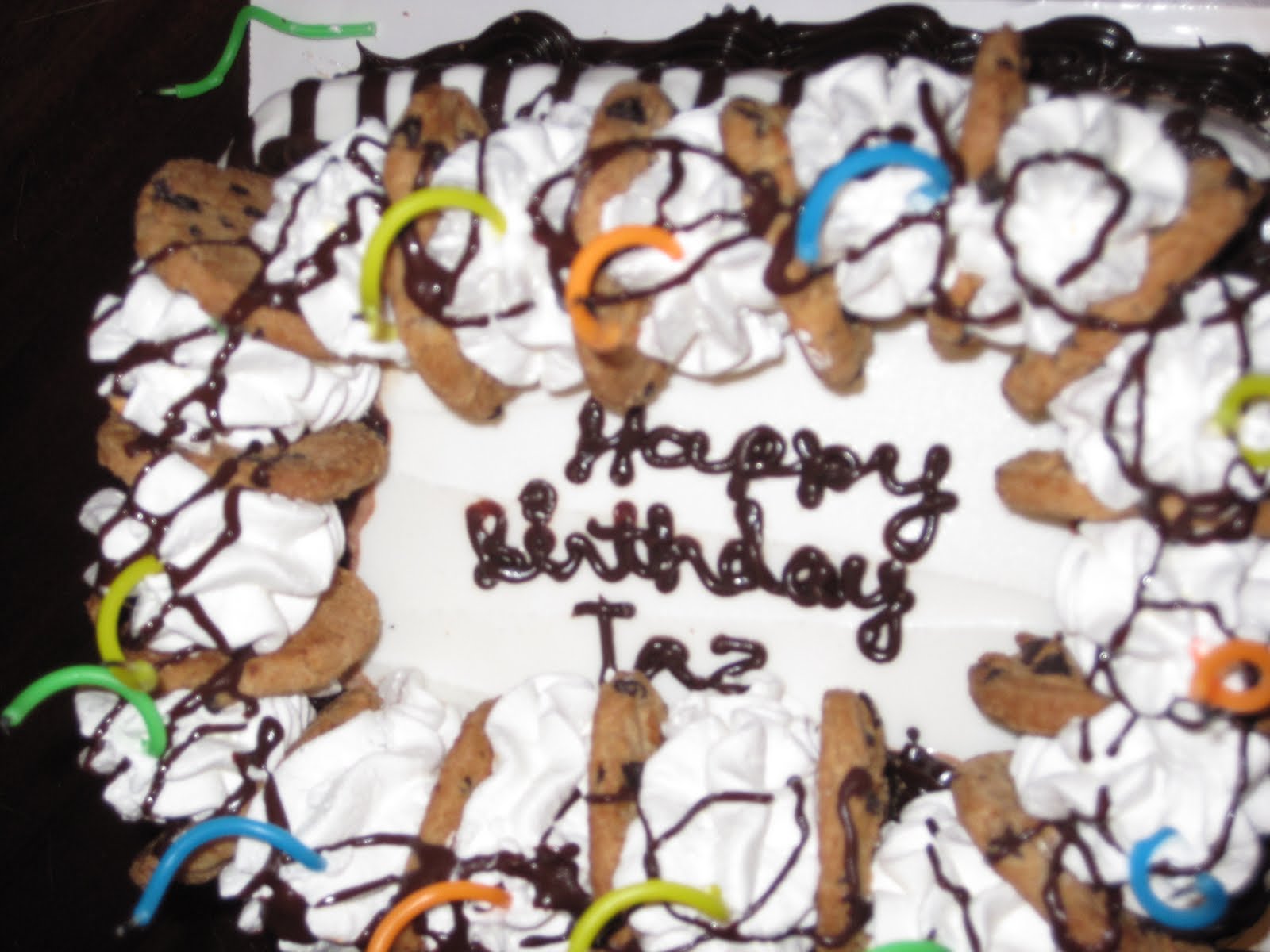 pieces of the patellas: Happy Birthday Taz!