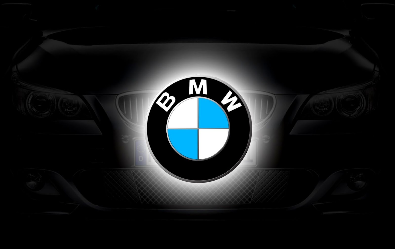 BMW Logo
