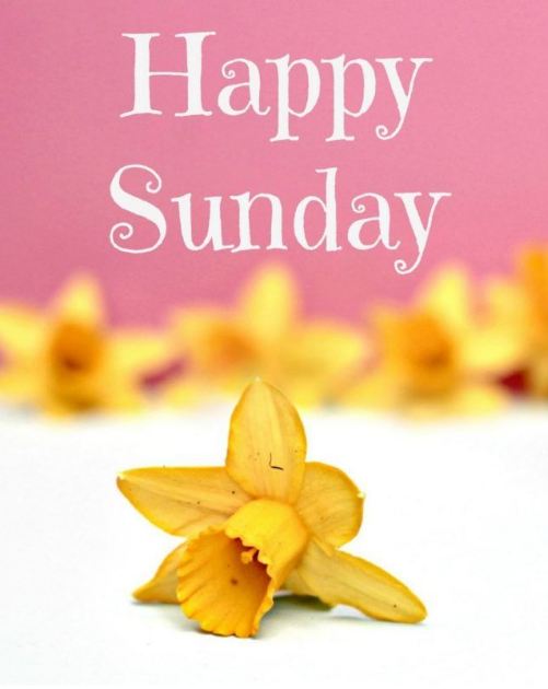 Happy Sunday images