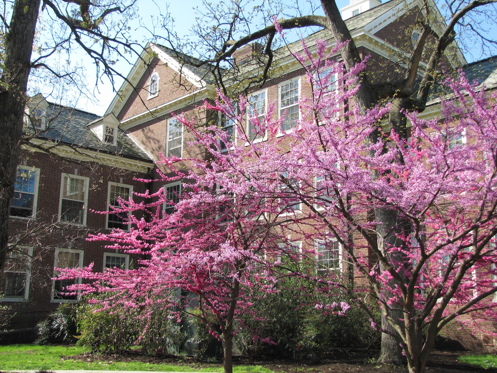 Appalachian Heartbeat: An Early Spring on the Berea College Campus