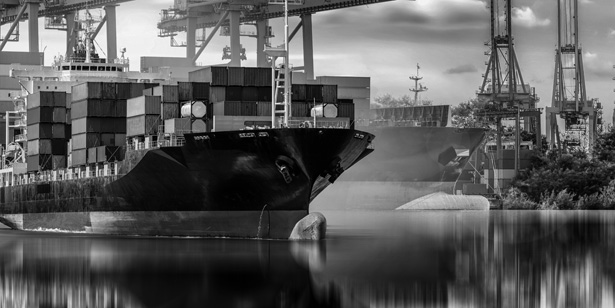Лицензия на перевозку речным и морским транспортом перевозка пассажиров и грузов речным и морским транспортом