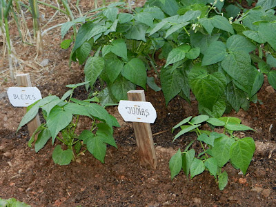 horta de porta