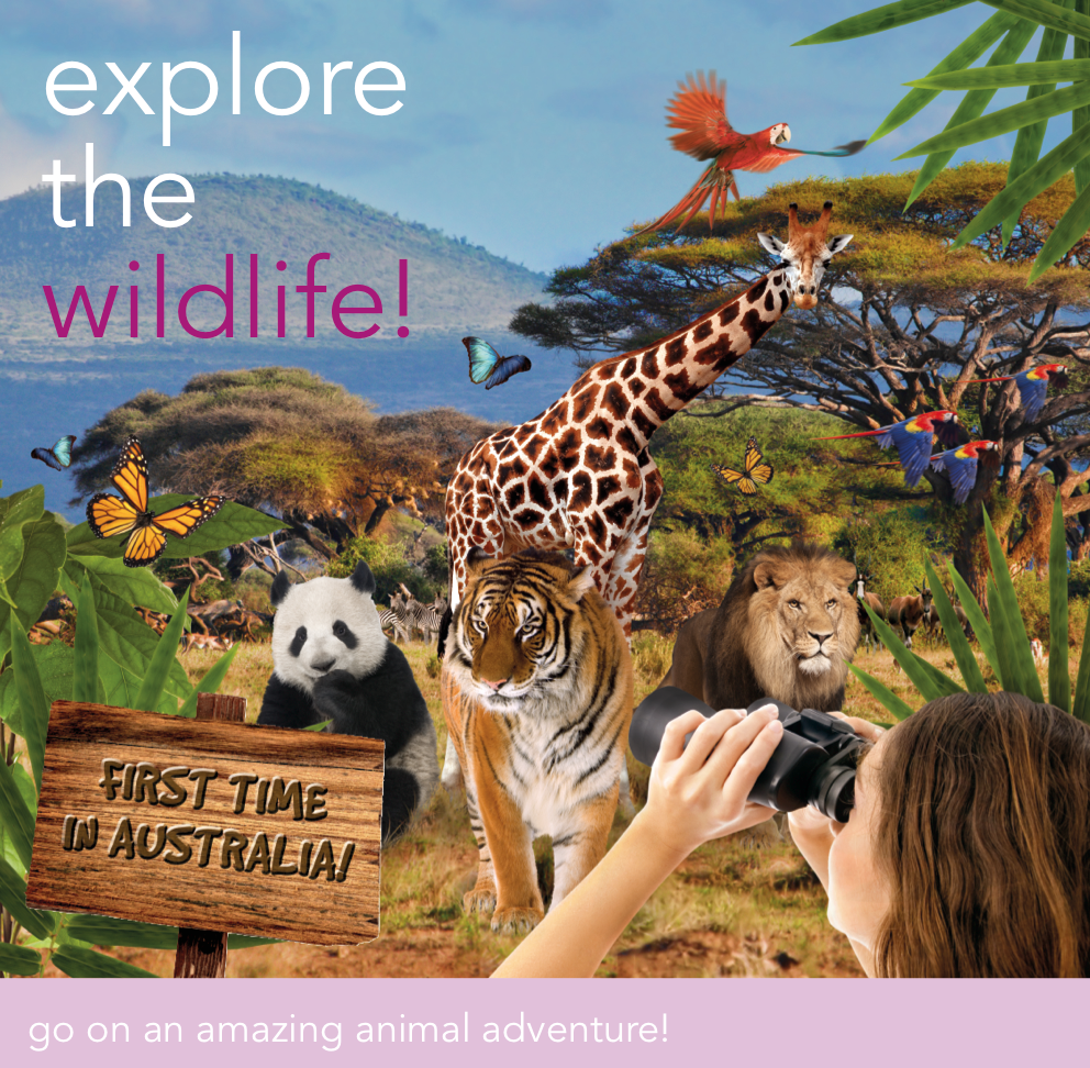 Imageresult for Explore the Wildlife