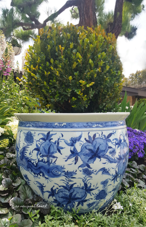 ciao! newport beach: inspiration: blue and white in the garden