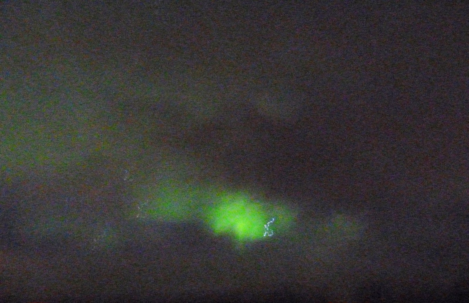 Mom's Musings IN SEARCH OF THE LIGHTS