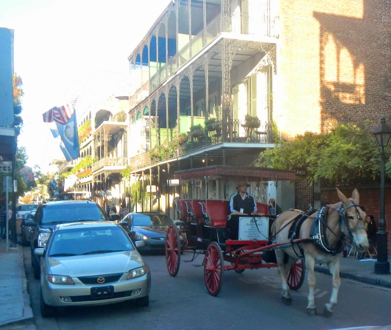 Big Daddy Dave Streetcars/Trolleys in New Orleans…Plus!
