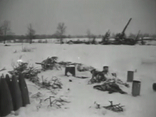 Армия 20 месяцев. 85-Олб. Немецкий артиллерийский полк урочище Заозерье.