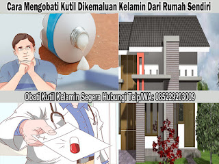 Obat Kutil Kelamin Obat Kutil Kelamin