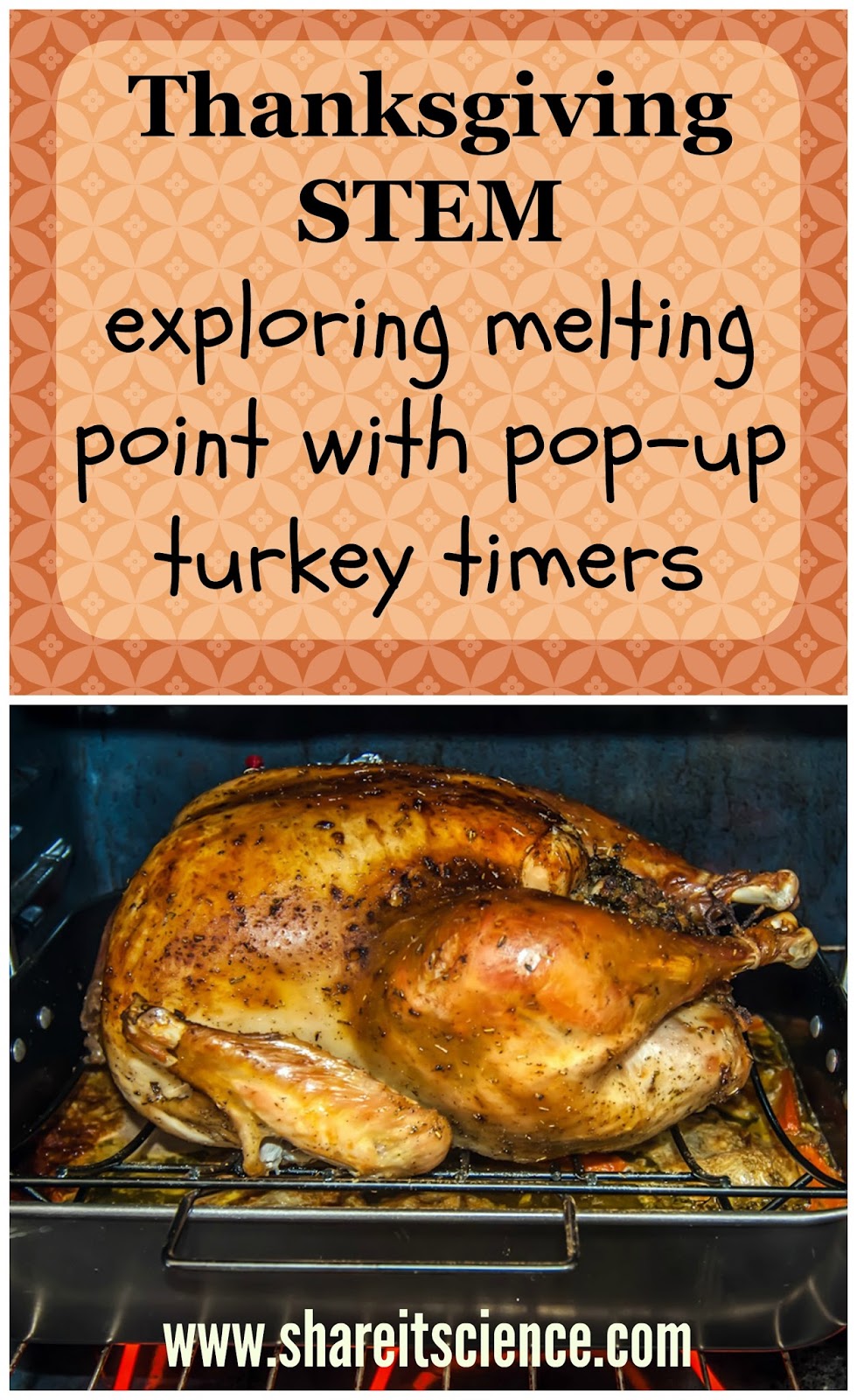 Pop Up Turkey Timer