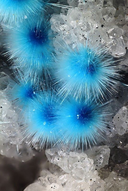 Stunning Cyanotrichite Crystals