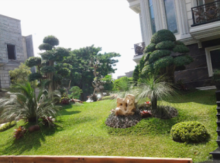 Galeri Taman - Tukang Taman Surabaya 44