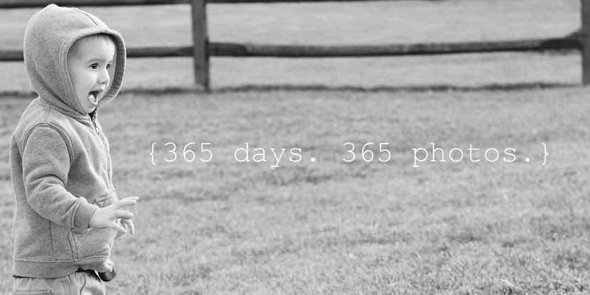 365 Days. 365 Photos.