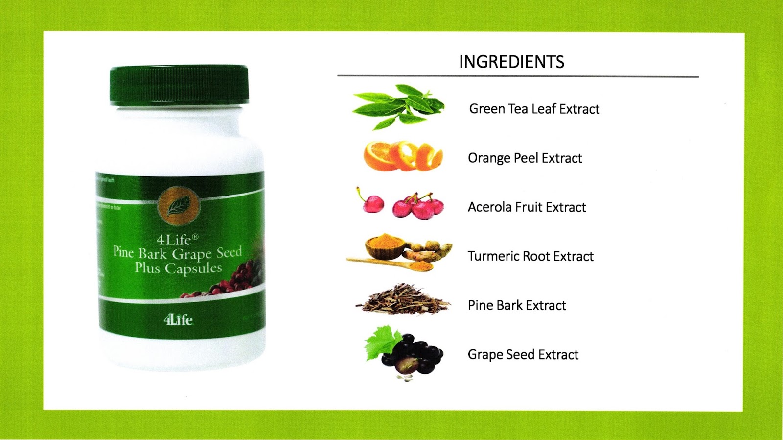4life Pine Bark Grape Seed Plus Capsules 4LIFE TRANSFER FACTOR