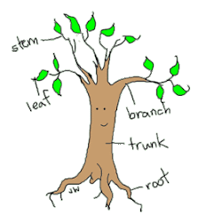 parts tree kindergarten worksheets worksheet plants drawing clip activity trees guide english coloring clothes line science unit february growing gloria