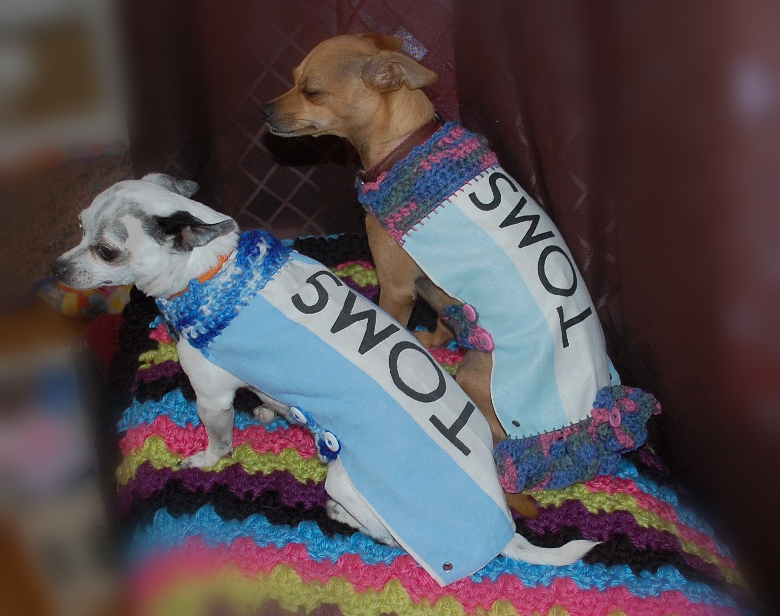 Posh Pooch Designs How to Make Dog Shirts From Tom's Shoe Bags