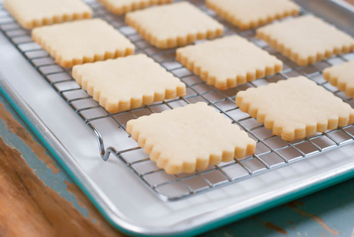 PERFECT every time cut-out cookies ... no dough-chilling required, can be frozen, perfect for decorating!  from @bakeat350 bakeat350.net