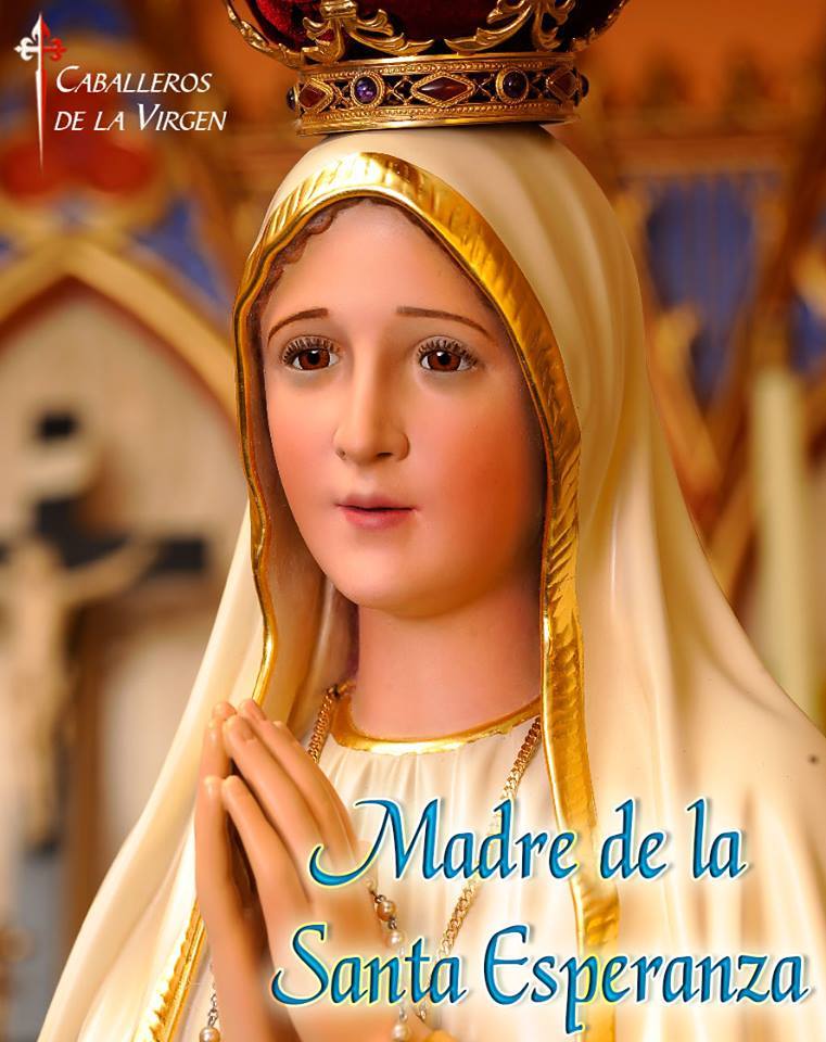 ® Virgen María, Ruega por Nosotros ®: IMÁGENES DE LA VIRGEN MARÍA CON ...