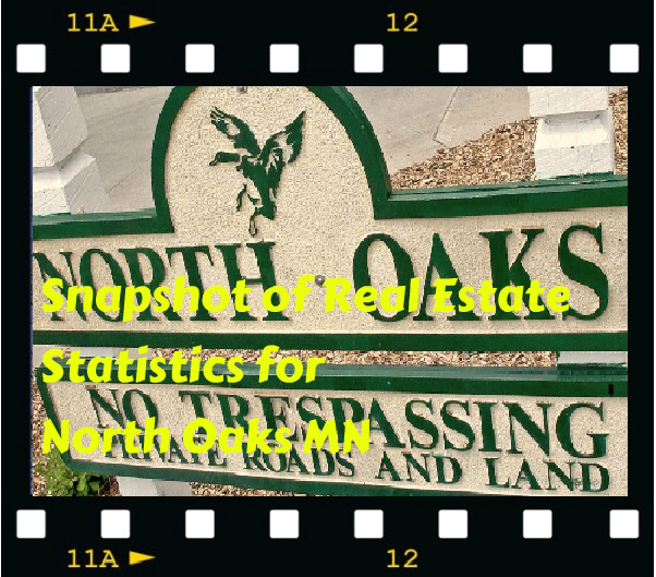 Minnesota Real Estate Update Snapshot of Home Sales Statistics in