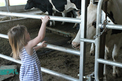 New Day Dairy, Clarksville, Iowa Robotic Freestall Barn