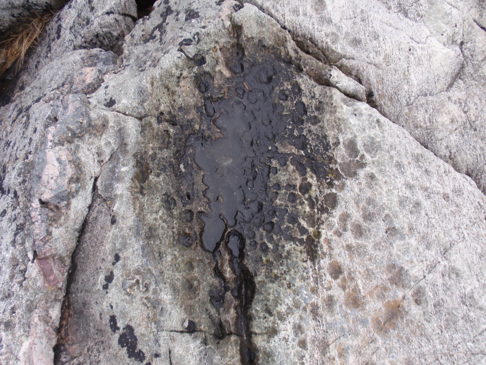 Weird & Wonderful: Hard rock geology at Väddö
