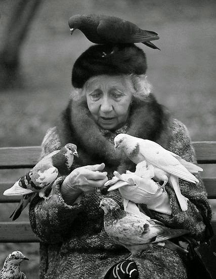  vieille dame aux pigeons