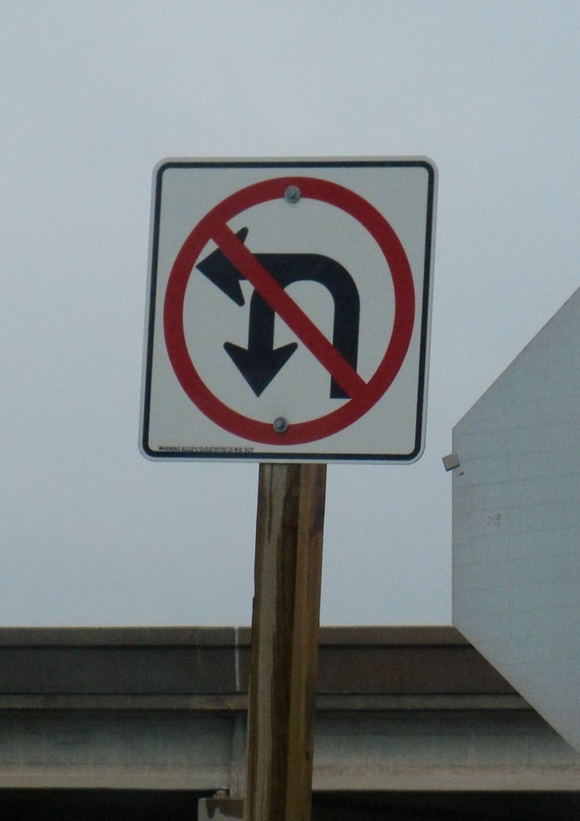 Dino Chronicles Which way do I go?