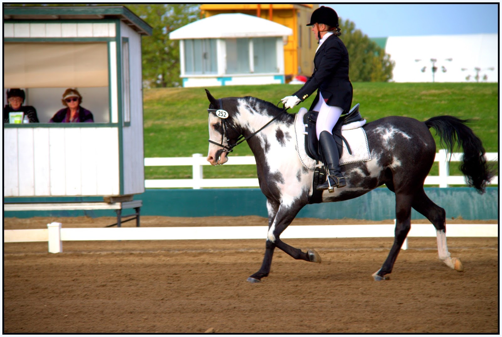 Slight Detour Arabian Sport Horse Nationals Day One of Competition