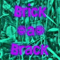 Brick-a-Brack