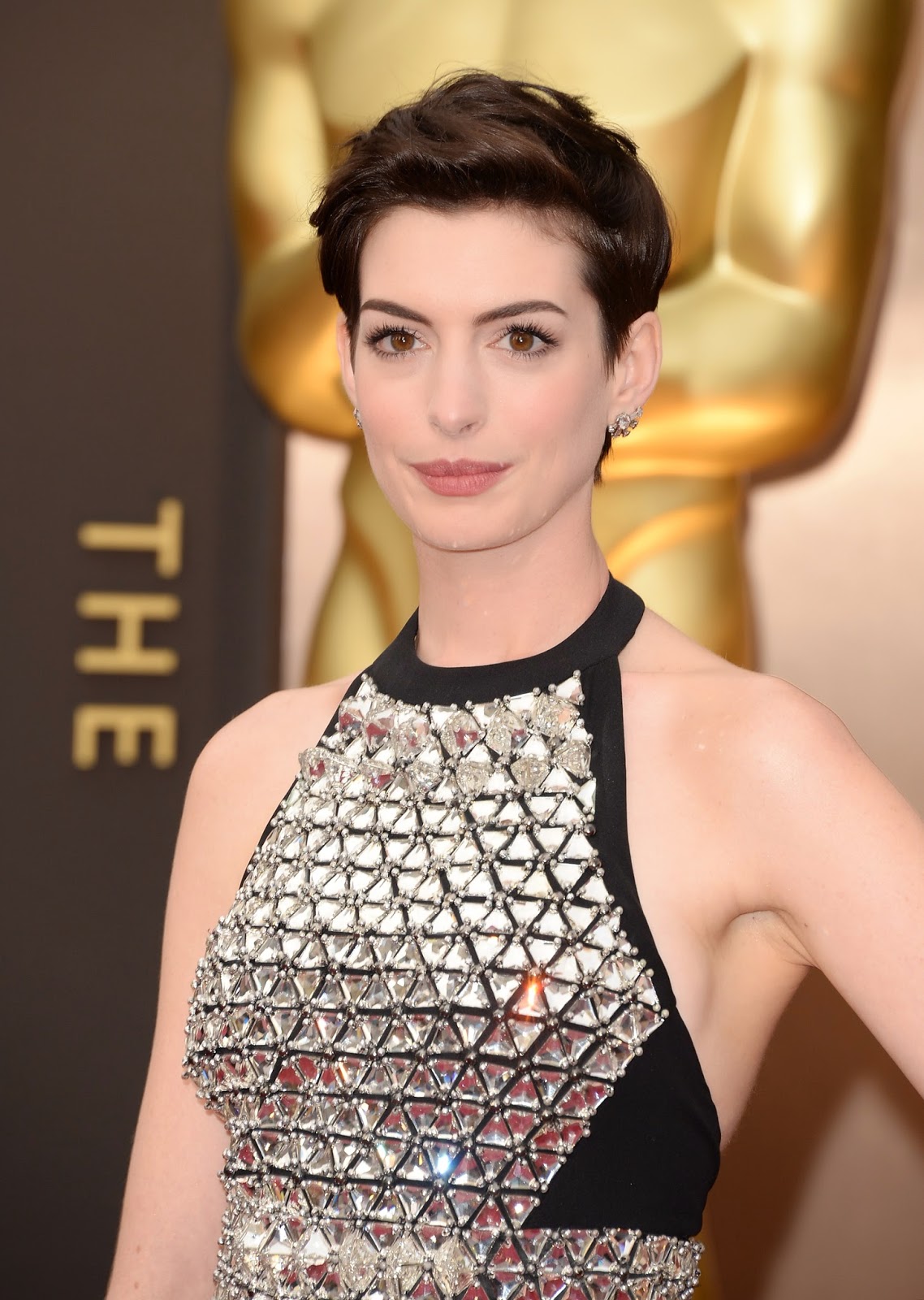 Red Carpet Dresses Anne Hathaway 86th Annual Academy Awards 2014
