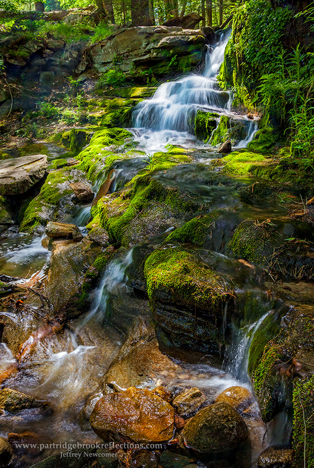 Getting it Right in the Digital Camera Newfane Vermont Album