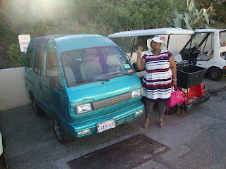 South African Taxi minibus