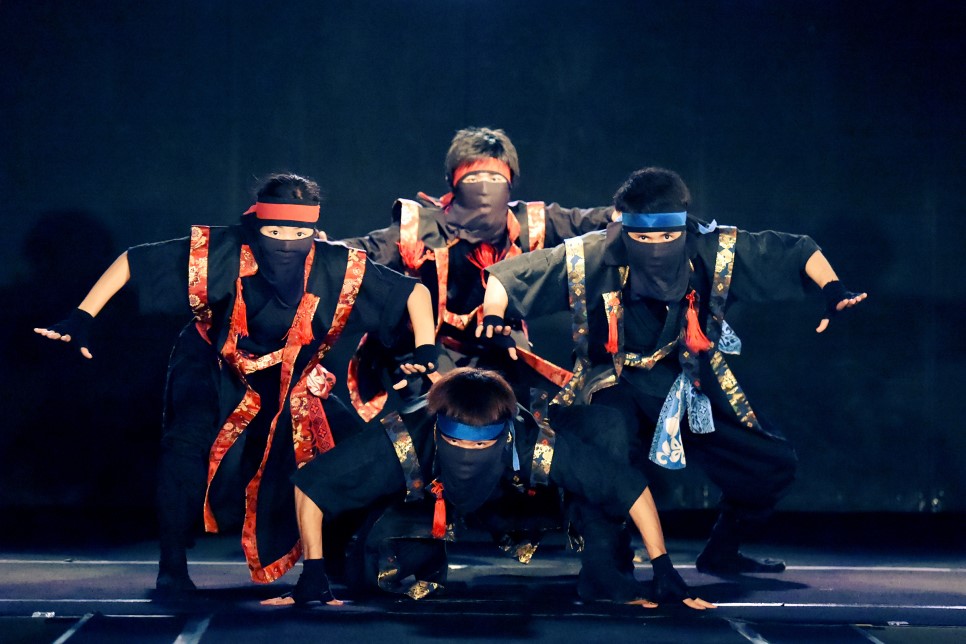 Стив ninja show. Action show. Action show. Афиша salsation. Evolution jump.