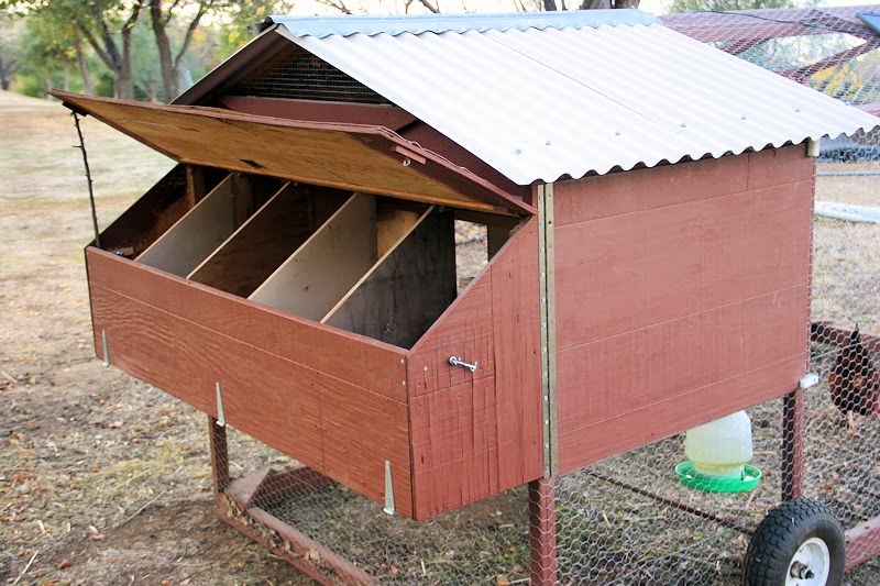Sunny Slope Orchard Our mobile chicken coop