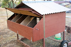 box chicken coop egg lid nest slope orchard sunny opens easy