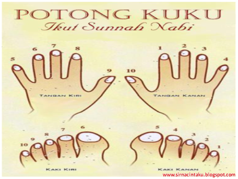 Potong Kuku Ikut Sunnah / DOA MEMOTONG KUKU DAN RAHSIA MEMOTONG KUKU