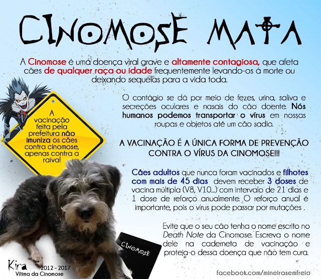 cinomose, principais informações