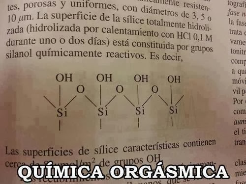 texto quimica orgasmica