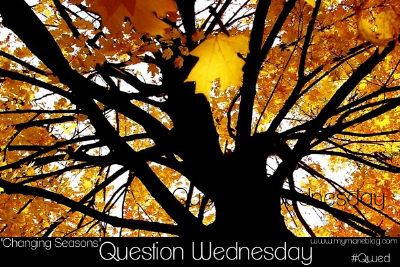 Question Wednesday Blog Hop #10 {Changing Seasons}