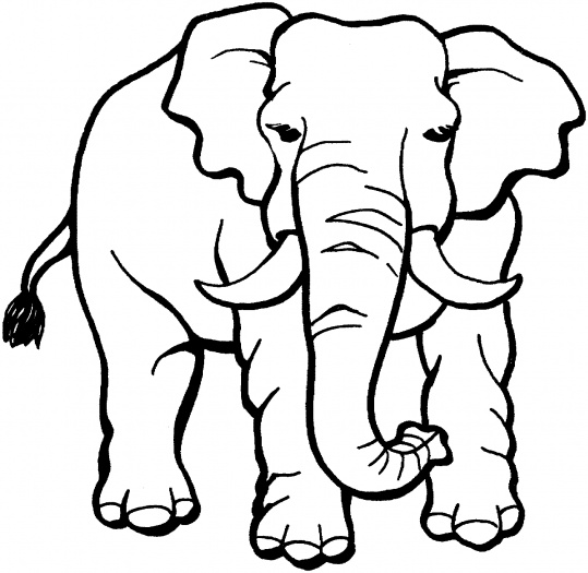 safari animal coloring pages - photo #1