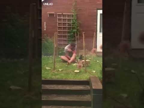 Hilarious Video Of Man Trying To Catch His Naughty Rabbit