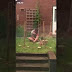 Hilarious Video Of Man Trying To Catch His Naughty Rabbit