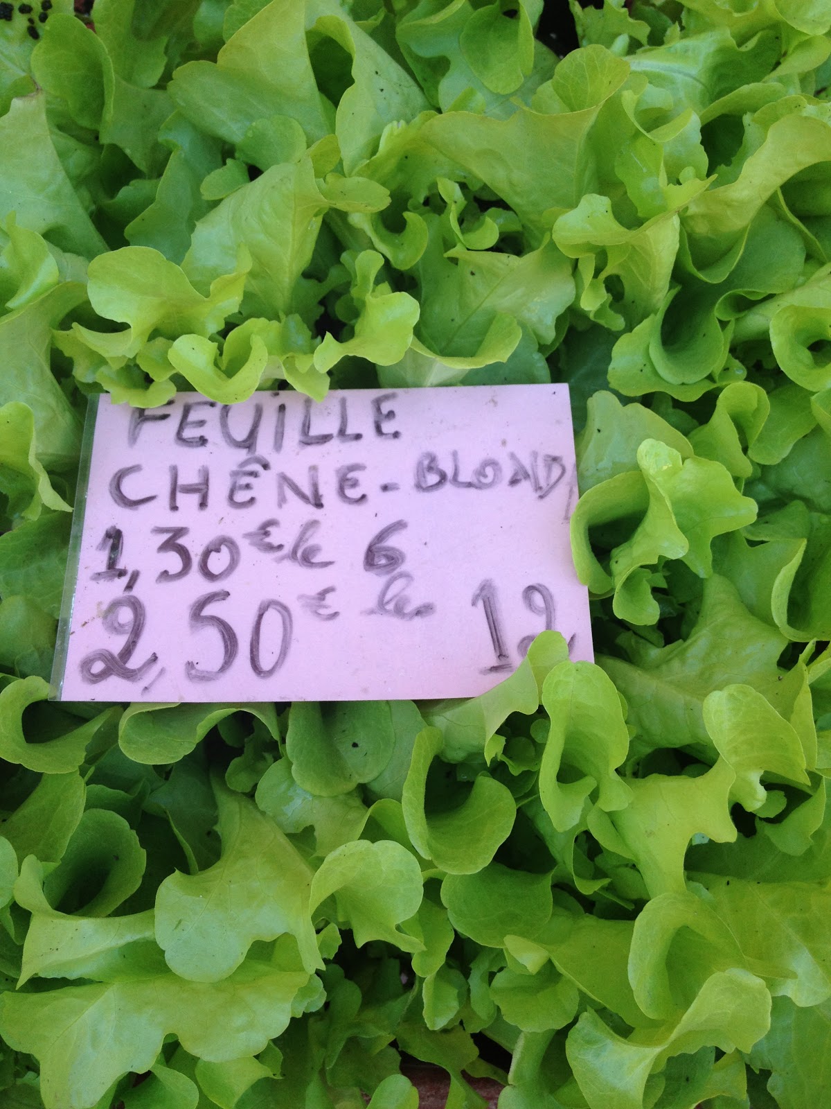 The Warp and the Weft Lettuce en Francaise