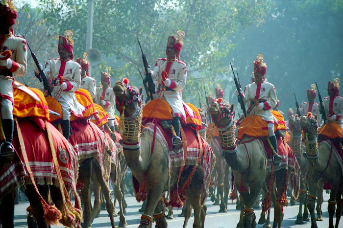 New Delhi, Republic Day, chameaux, © L Gigout, 1991