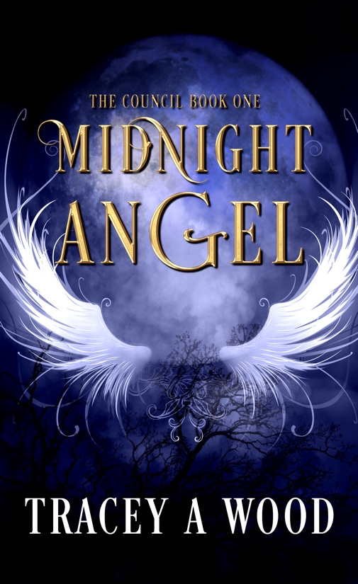 Midnight Angel by Tracey A Wood