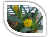 эффекты округления углов округление углов